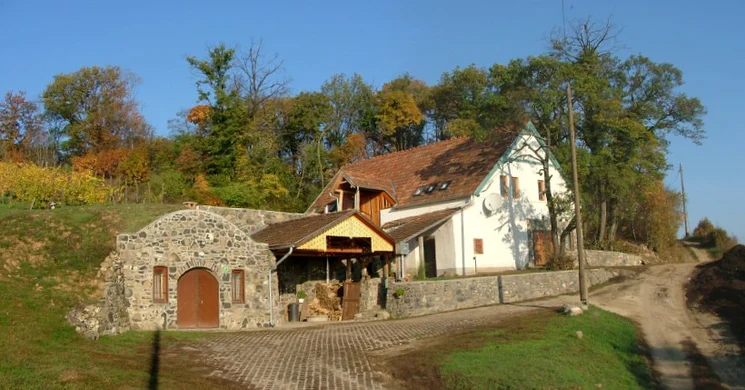BioVitis Pincészet