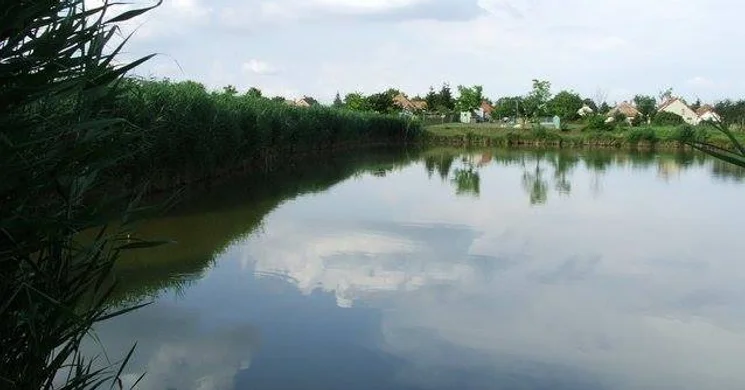 Sárosd horgásztó