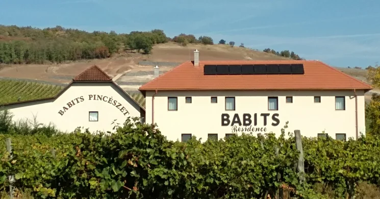 Babits Pincészet Vendégház Szegi