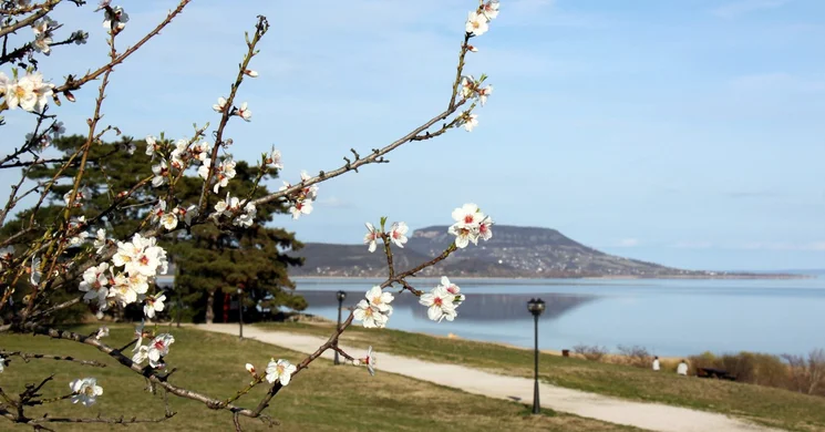 Balatongyörök kiállítások 2026