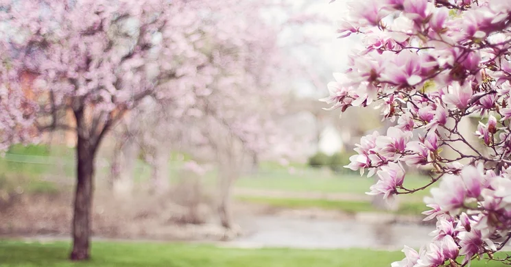 Hétvégi fesztiválok 2026 - Események, rendezvények