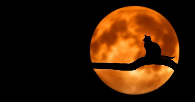 Október 31. Hallowen