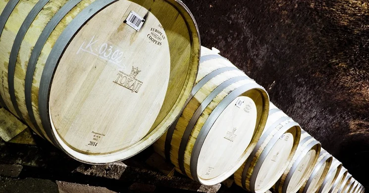 Tokaj Zöld Birtok