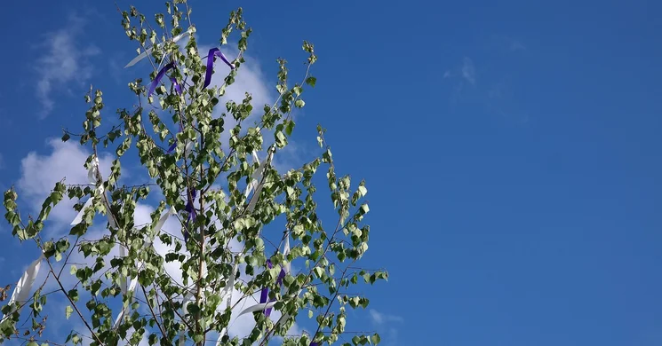 Majális Budakeszi 2026