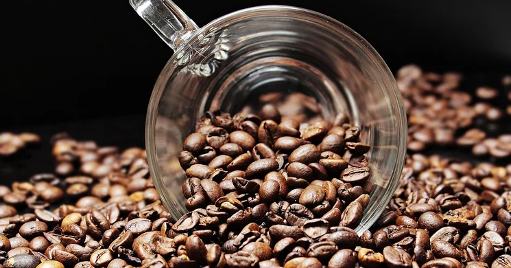 Cafe Frei Szombathely programok