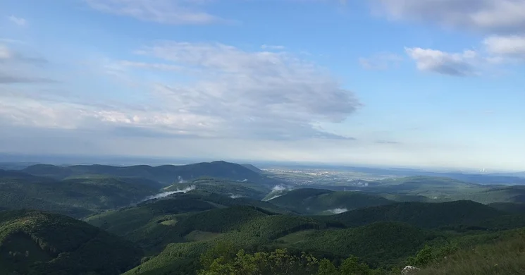 Északerdő Zrt.