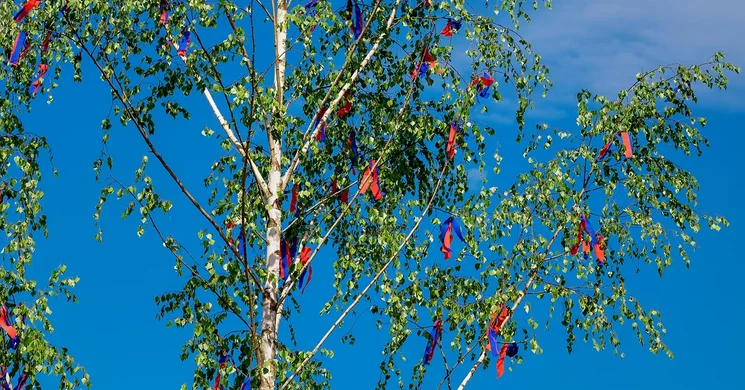 Dabasi Majális 2026 - Városi majális és Mentős nap