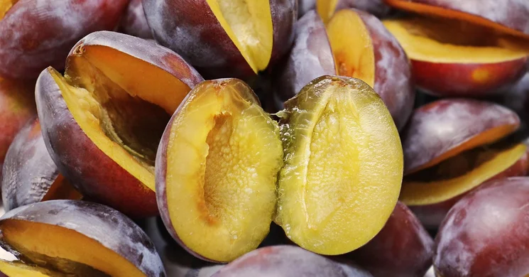 Nemzetközi Szilvalekvárfőző Fesztivál Szatmárcseke