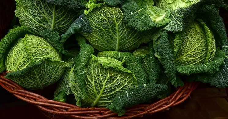 Pesti Biopiac és Vásárcsarnok Budapest 2026