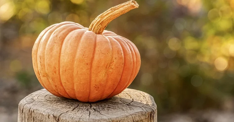 Halloween Balatonakali 2026