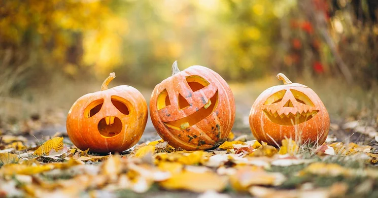 Debrecen Halloween 2026. Programok a Halloween jegyében