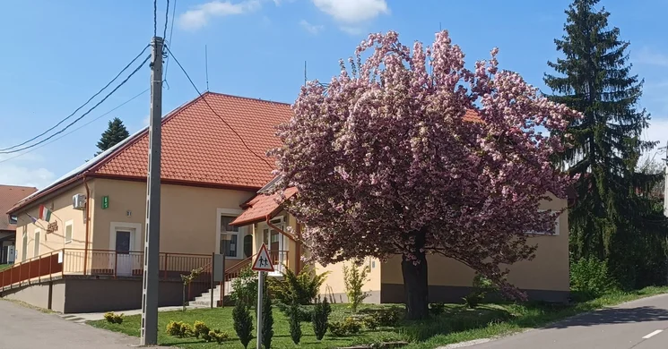 Ostoros programok 2026 - Események és rendezvények