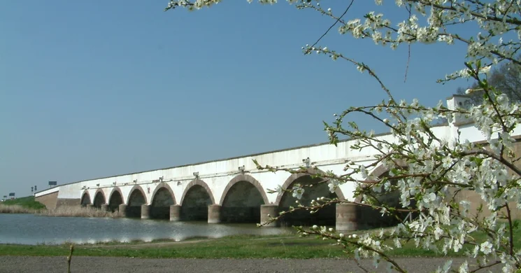 Hortobágyi Gyereknap 2026 - Várjuk a Hortobágyi Nemzeti Parkban
