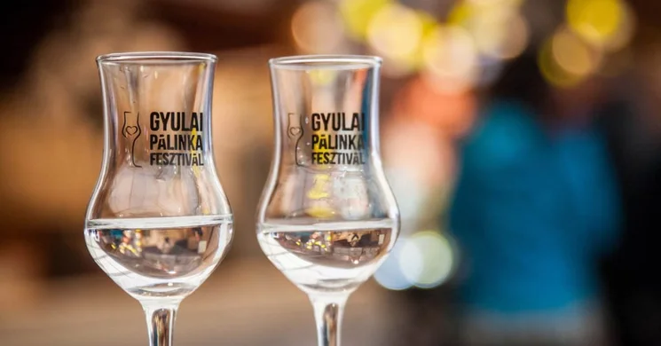 Gyulai Pálinkafesztivál csomagajánlat 2026 – Gasztroélmények wellness pihenéssel a Wellness Hotel Gyulában
