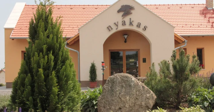 Nyakas Pince Tök