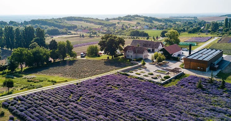 Pannonhalmi Arborétum és Gyógynövénykert