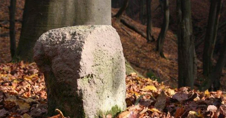 Áprily-völgyi rege-termő tanösvény Visegrád