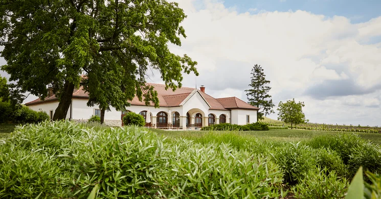 Patricius Tokaj Borház Bodrogkisfalud