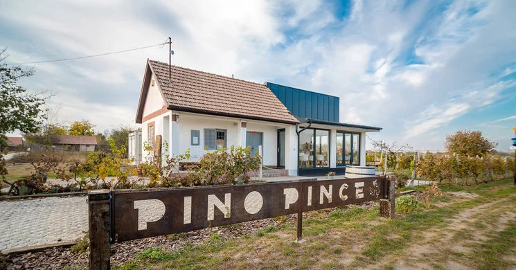 Pino Pince