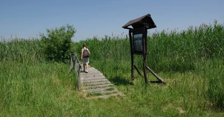 Kékbegy tanösvény Farmoson, ökotúra a Tápió-vidékén, a Duna-Ipoly Nemzeti Parkban