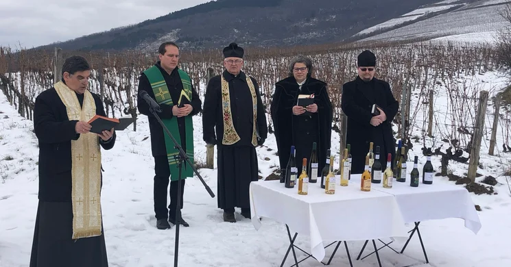 Vince-nap Tokaj 2026. Szőlő- és borszentelés