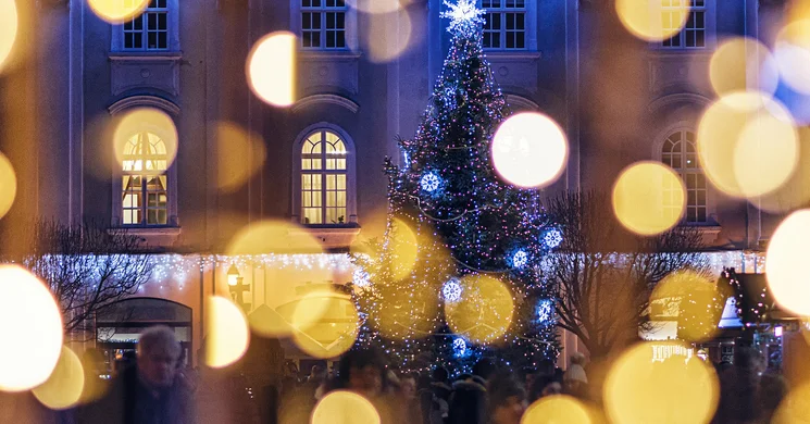 Adventi programok Székesfehérvár