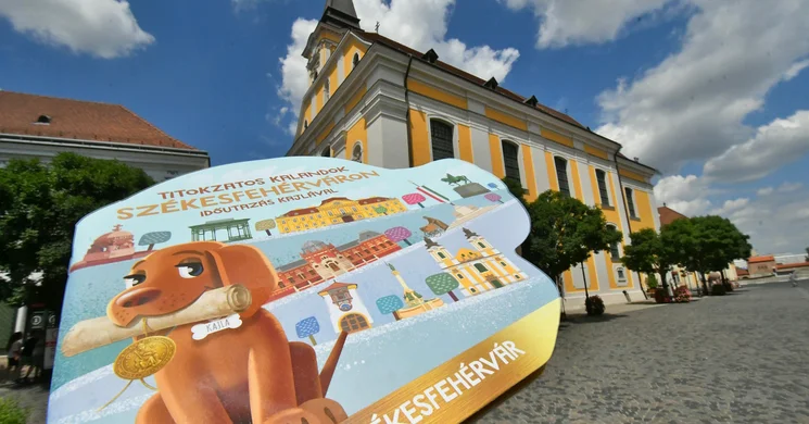 Kajla kalandok Székesfehérváron 2026 - Indulhat a nyári szünet!