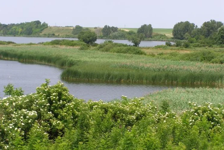 Túra a Pacsmagi-tavak természetvédelmi területen a Duna-Dráva Nemzeti Park szervezésében