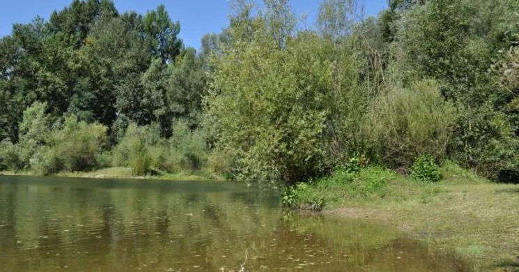 Őrtilosi Dráva-ártér tanösvény