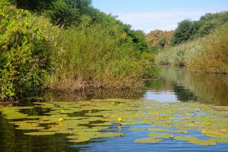 Vízitúra 2026 - Evezős túrák, vízitúra programok a Duna-Dráva Nemzeti Park szervezésében