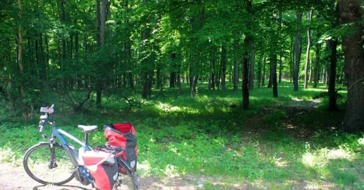E-bike túra