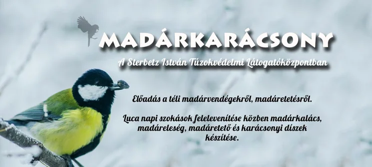 Luca-napi szokások 2026 - Madárkarácsony a Réhelyi Látogatóközpontban Dévaványán