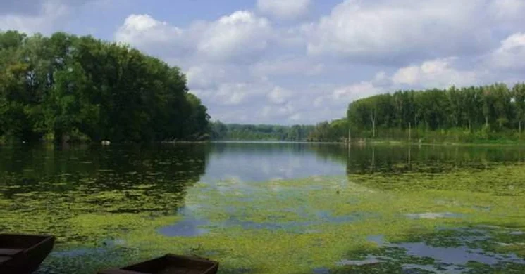 Mártély túra - Kirándulások az ártér mentén a Kiskunsági Nemzeti Park szervezésében