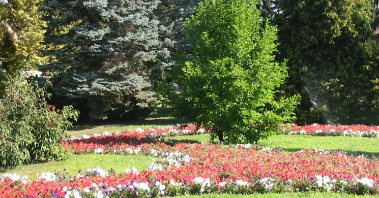 Sellyei Arborétum