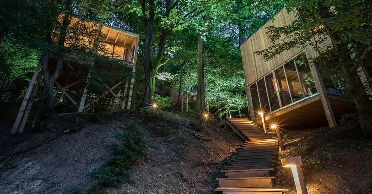 TreeHouses Noszvaj