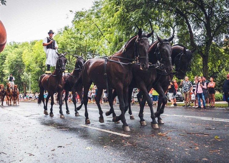 Lovas felvonulás Hajdúszoboszló 2026
