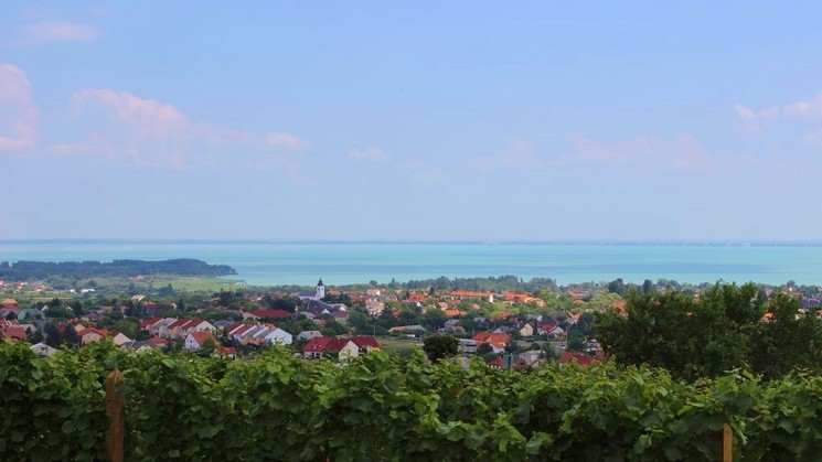 Csopaki programok 2026 – események a Balatonnál egész évben