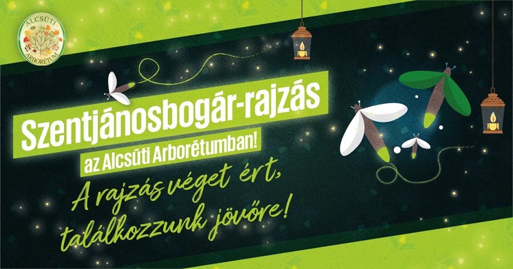 Szentjánosbogár rajzás 2025. Szentjánosbogár tánc és éjszakai fényjáték az Alcsúti Arborétumban