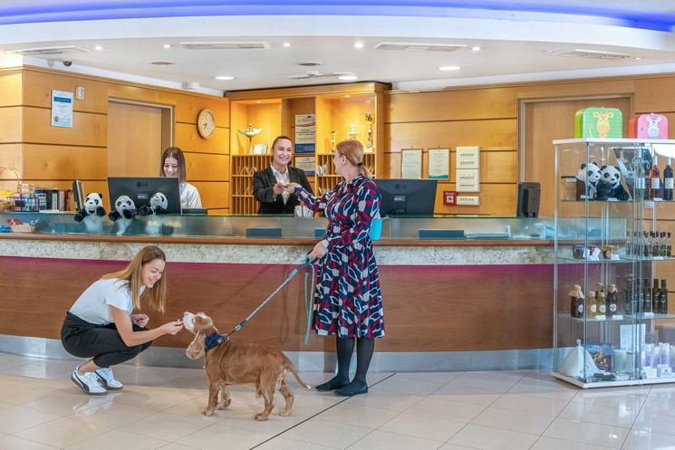 Kutyás wellness Harkányban, pihenjen kedvencével 4*-os szállodánk lakosztályaiban, apartmanjaiban