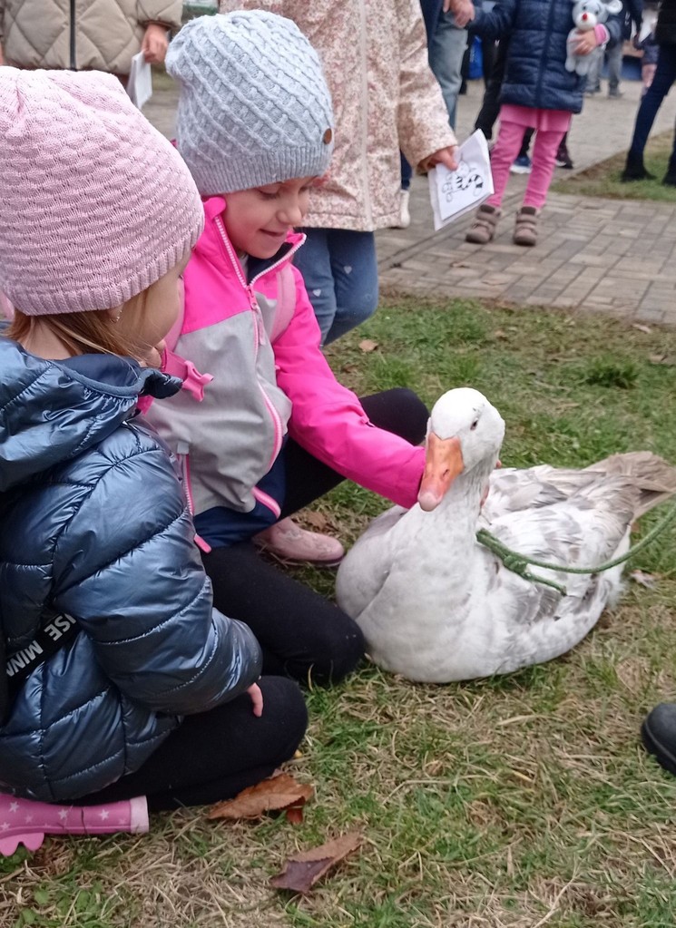 Márton-napi vigasság a Sóstói Múzeumfaluban Nyíregyházán 2026