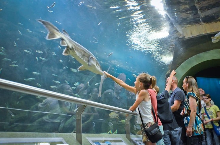 Poroszlói programok 2026 - események, fesztiválok, rendezvények a Tisza-tónál