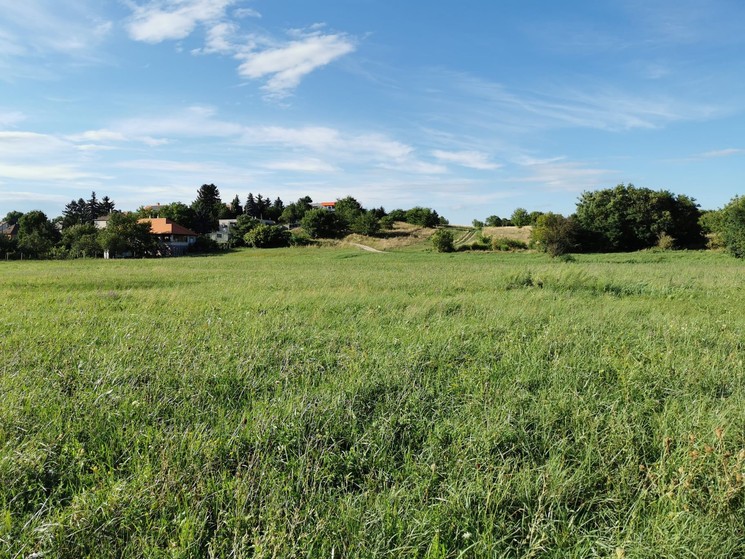 Királyfeszt 2026 Budapest - Királydombi Családi Nap és Emlékjel Avató 