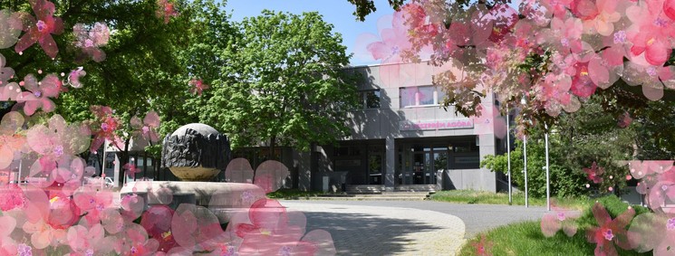 Agóra Veszprém Kulturális Központ programok 2026