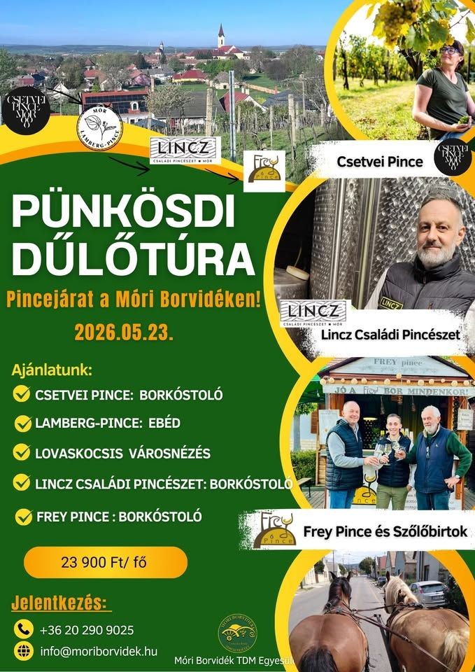 Borvidék túrák és kirándulások Magyarországon