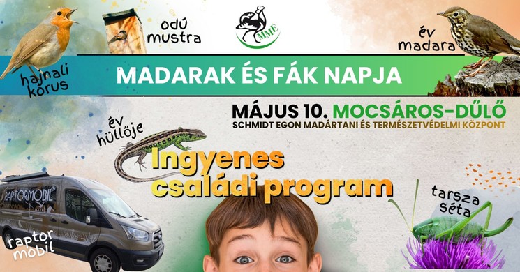 Év Fajai Fesztivál Budapest 2026 - Madarak és fák napja a Mocsáros-dűlőn