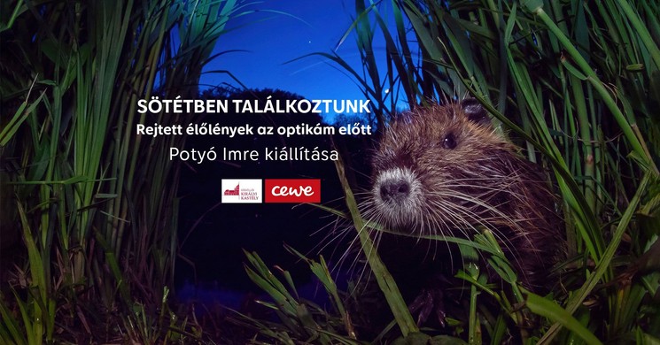 Fotókiállítás Gödöllői Királyi Kastély 2026 - Potyó Imre Sötétben találkoztunk című kiállítása