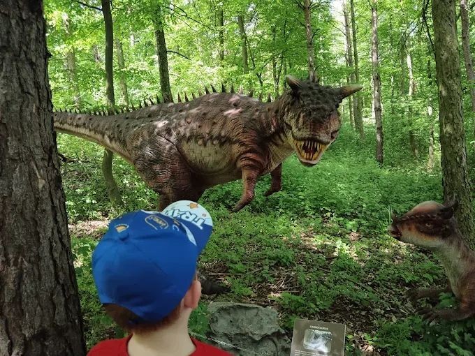Dinó Park Pécsen a festői Malomvölgyben, egy szuper program az egész családnak játékokkal kicsiknek és nagyoknak!