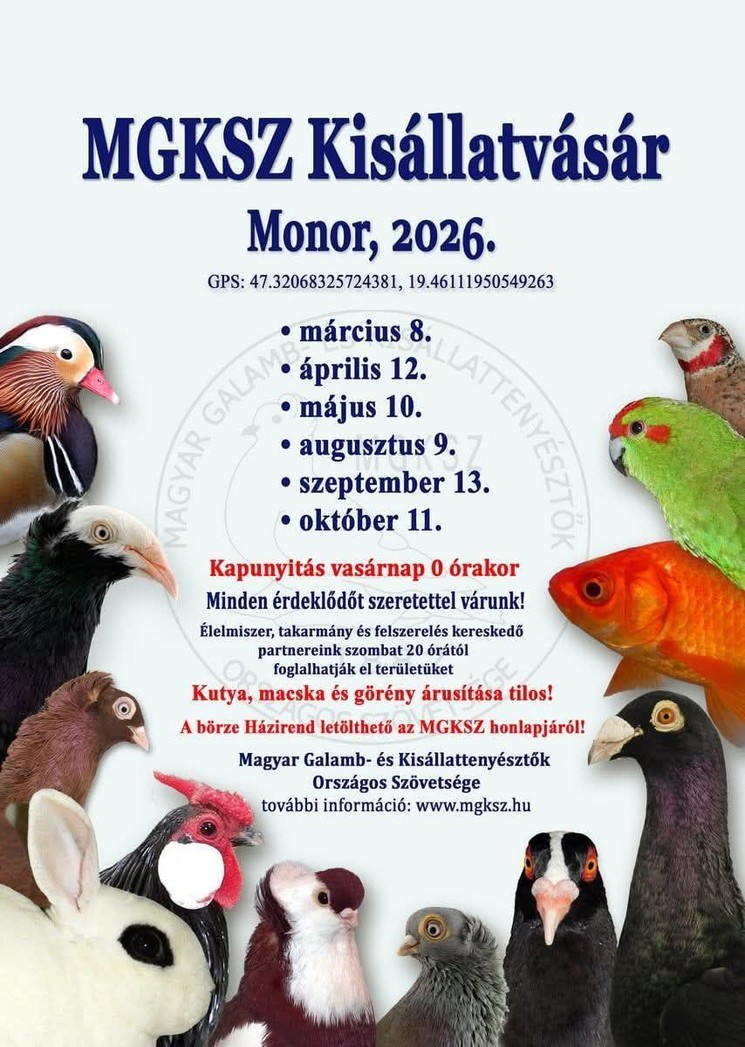 Kisállatbörze Monor 2026 - MGKSZ Kisállatvásár Monoron
