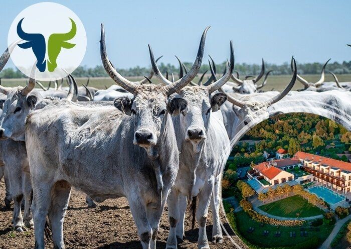 Puszta ízei kóstoló program 2026 - Puszta Kincsei Gasztro Élményhét a Tisza Balneum Hotelben