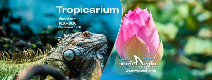 Campona programok 2026 Budapest - Események, rendezvények